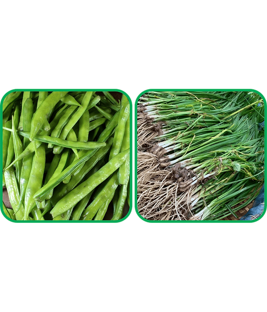 Aero Seeds Garlic Chives ( 50 Seeds) And Cluster Beans ( 50 Seeds) Vegetable Seeds Pack