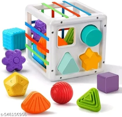 Shape Sorter Montessori Toys