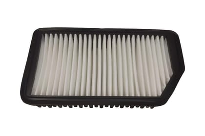 Zip Air Filter AV176322