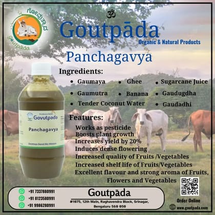 Panchagavya 1 L