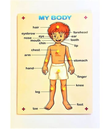 Peters Pence Human Body Parts Learning Puzzle Board For Kids Pre Primary Education