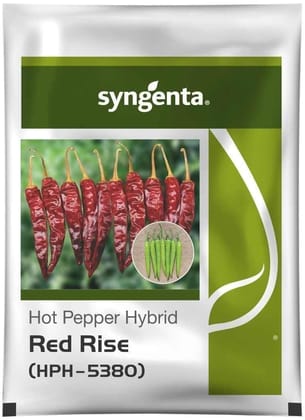 RED RISE