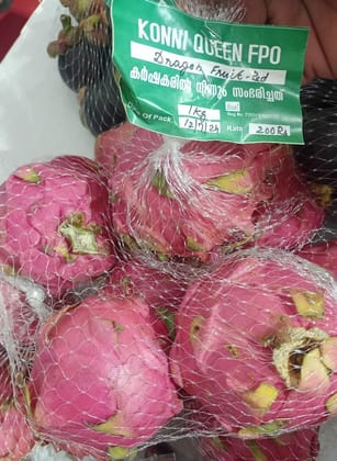 Dragon Fruit - 1 kg