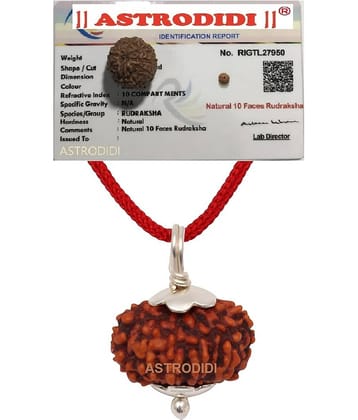 10 Mukhi Rudraksha Ten Face Small Indonesian Java Rudraksha Pendant with Lab Certificate