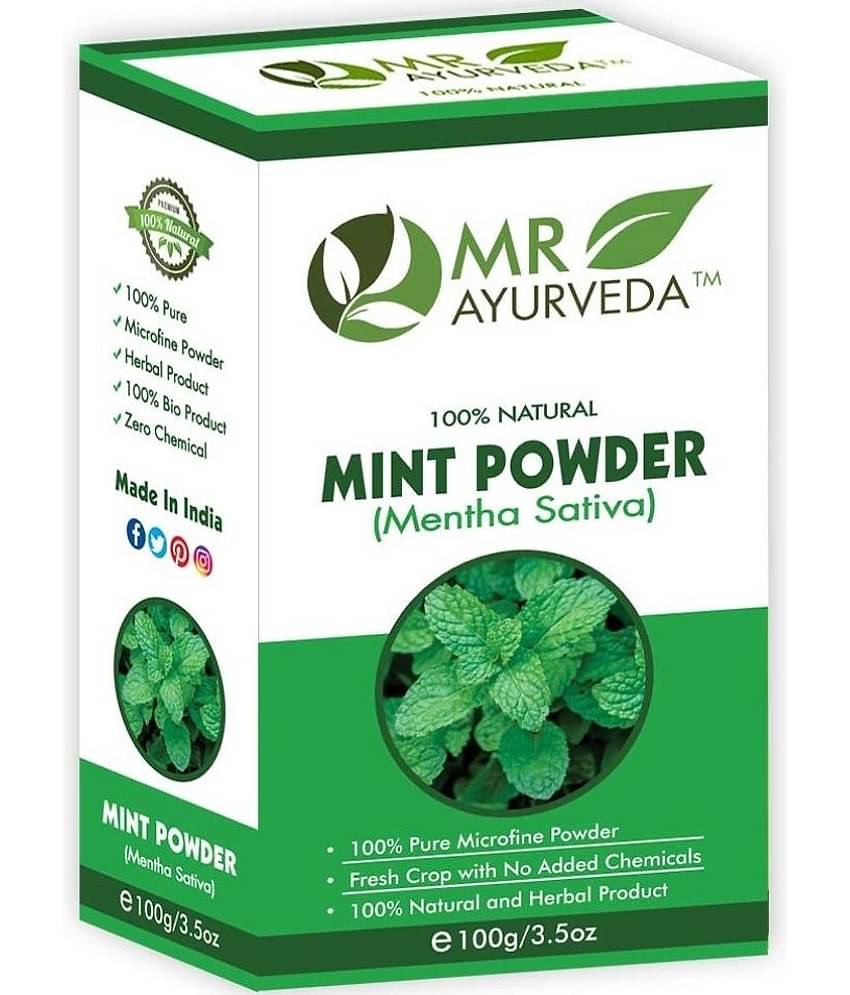 MR Ayurveda 100% Pure Pudina Powder Face Pack Masks 100 gm