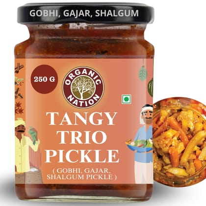 Foodsbay India Gobhi Gajar Shalgam Achar | 250 g Foodsbay India Gobhi Gajar Shalgam Achar | 250 g