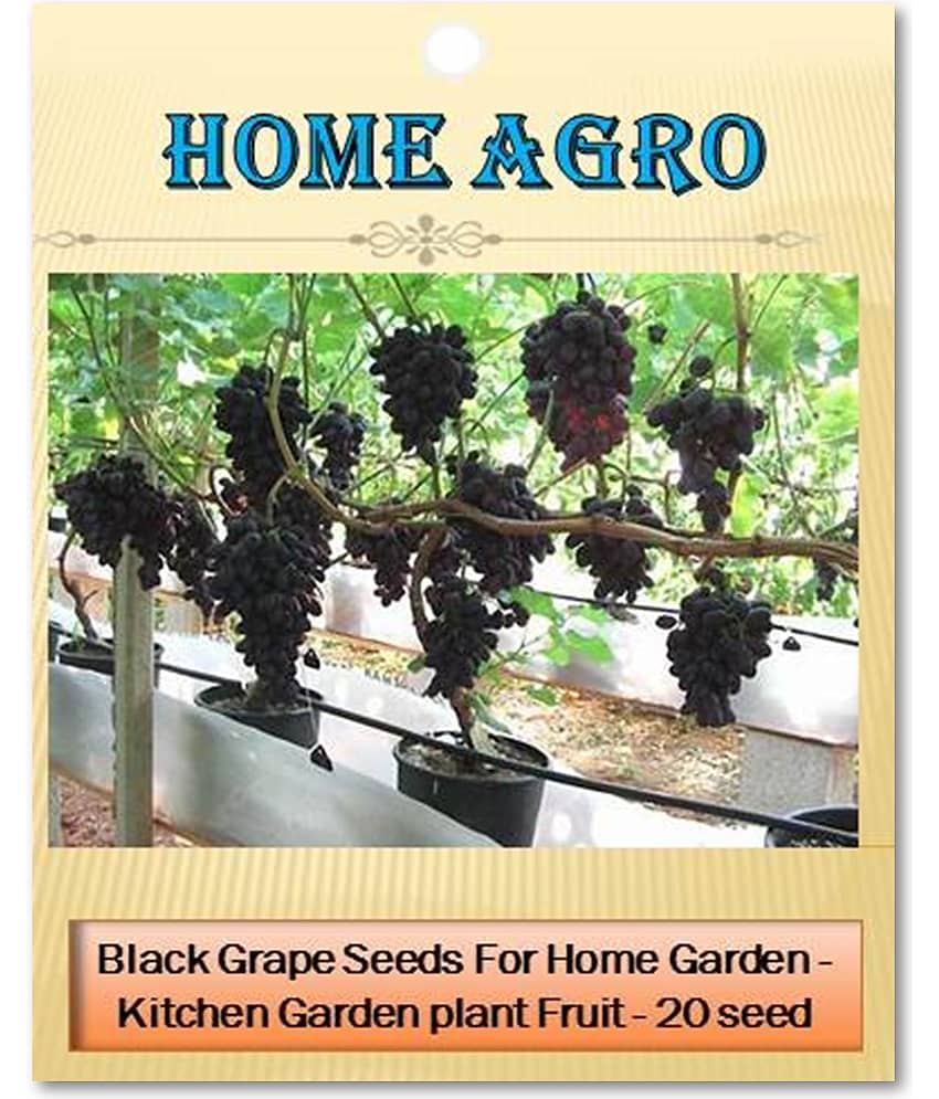 homeagro - Fruit Seeds ( 20 seeds )