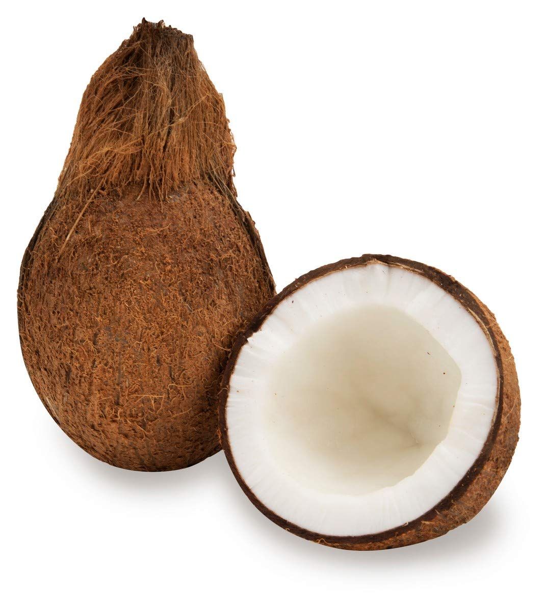 Dehydrated Coconut Powder