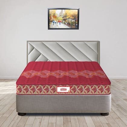 COIRFIT Day Dream with 36 YEARS OF TRUST 5 Inch Double Size Coir Foam Mattress(72X48 Inches), Double-Sided PU Foam Quilt | Durable & Lightweight |5-Year Warranty COIRFIT Day Dream with 36 YEARS OF TRUST 5 Inch Double Size Coir Foam Mattress(72X48 Inches), Double-Sided PU Foam Quilt | Durable & Lightweight |5-Year Warranty