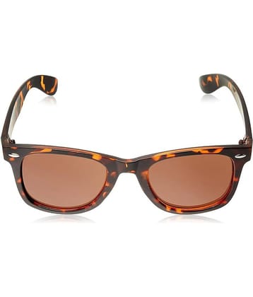 Roadies - Brown Square Sunglasses ( Pack of 1 )