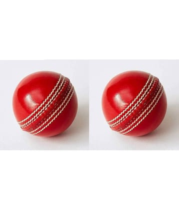 EmmEmm Pack of 2 Pcs Premium Leather Skull Cricket Ball for T-20 and ODI's