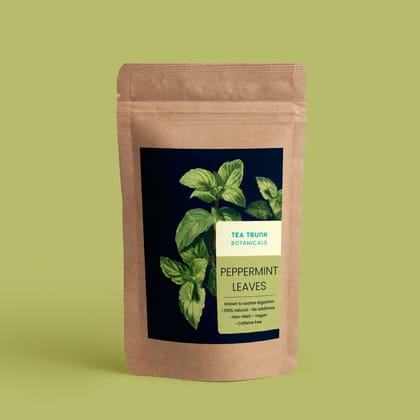 Peppermint Leaves-100 GMS