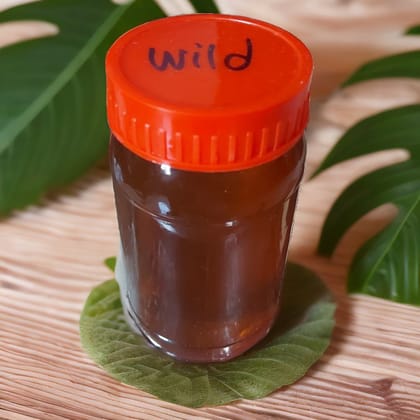 Fudonik Pure Desi Wild Honey (Forest Sourced) | Raw & Unprocessed | Immunity Booster Fudonik Pure Desi Wild Honey (Forest Sourced) | Raw & Unprocessed | Immunity Booster