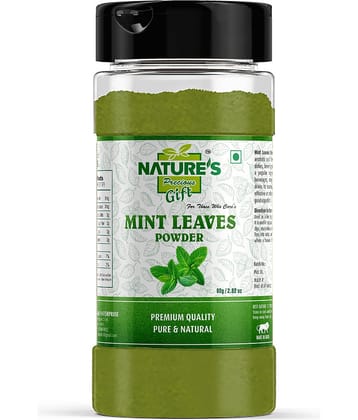 Natures Gift - 80 gm Mint Powder (Pack of 1)