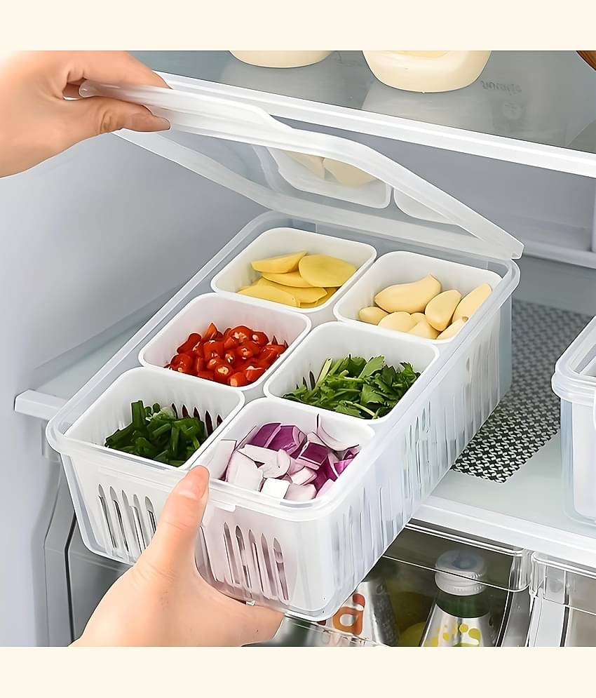 NCMART Fridge Container Polyproplene White Multi-Purpose Container ( Set of 1 )