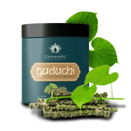 Guduchi Capsules – Immunity booster(60 capsules)