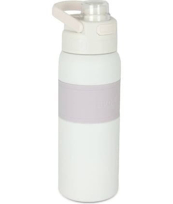 HomePro Hot & Cold Thermosteel Premium Vaccum Flask Bottle Purple Steel Water Bottle 800 mL ( Set of 1 )