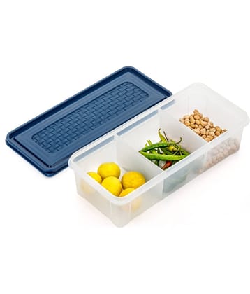MAGICSPOON Fridge Storage Polyproplene Navy Blue Spice Container ( Set of 1 )