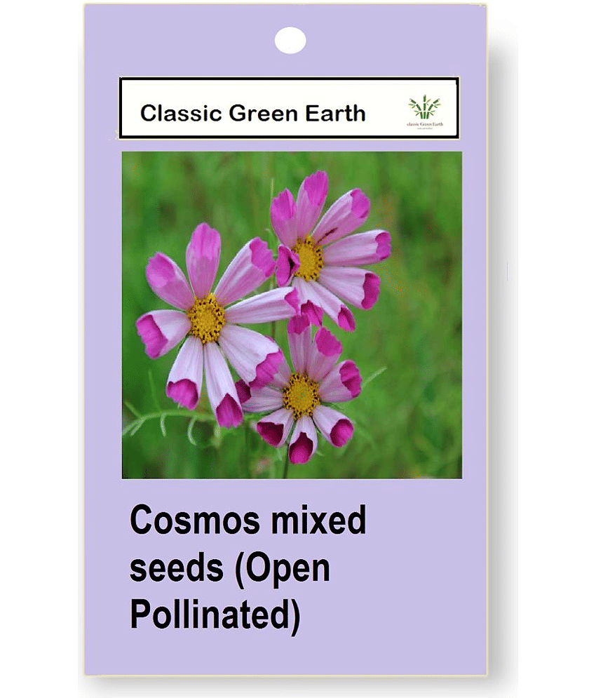 CLASSIC GREEN EARTH - Flower Seeds ( Cosmos mixed 50 seeds Open Pollinated )