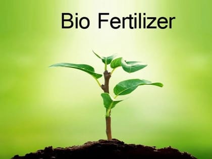 Bio-Fertilizer