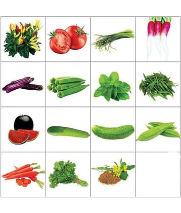 Combo of Fifteen Summer Kitchen Garden Hybrid Seeds ,15 Variety for your Kitchen Garden Vegetable Seeds