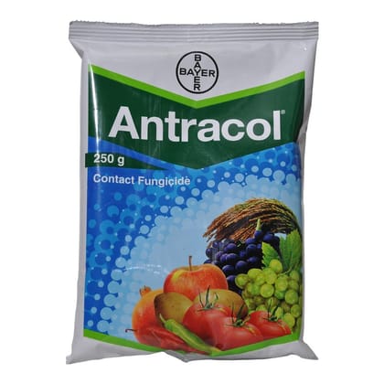 ANTRACOL