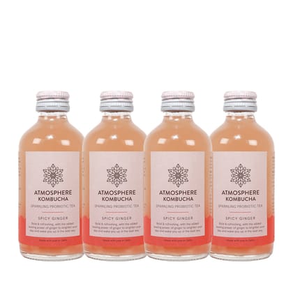 Spicy Ginger Kombucha-4 Pack