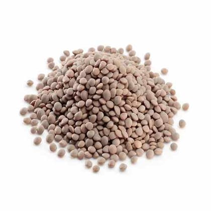 Organic Masoor(Black)  500 GM