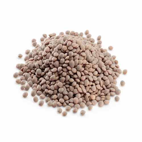 Organic Masoor(Black)  500 GM