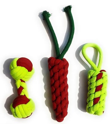 Tame Love Combo of 3 Dog Chew Toys
