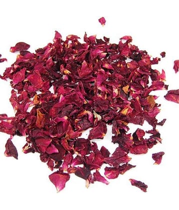 Jai Jinendra NA Aroma Diffuser & Ultrasonic Humidifier - Pack of 1