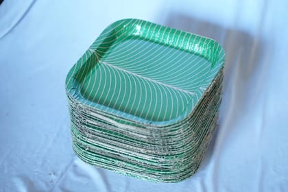 Biodegradable Green Paper Plates
