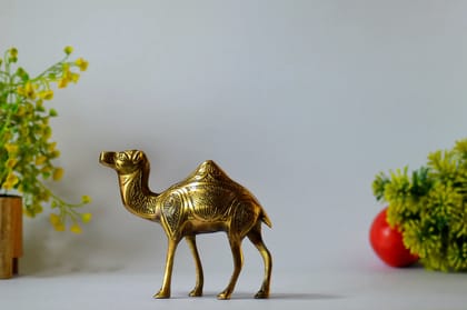 Brass Standing Camel Staue (Color - Golden, Size - 5H *6.5L*2.25B) by Snova Enterprises