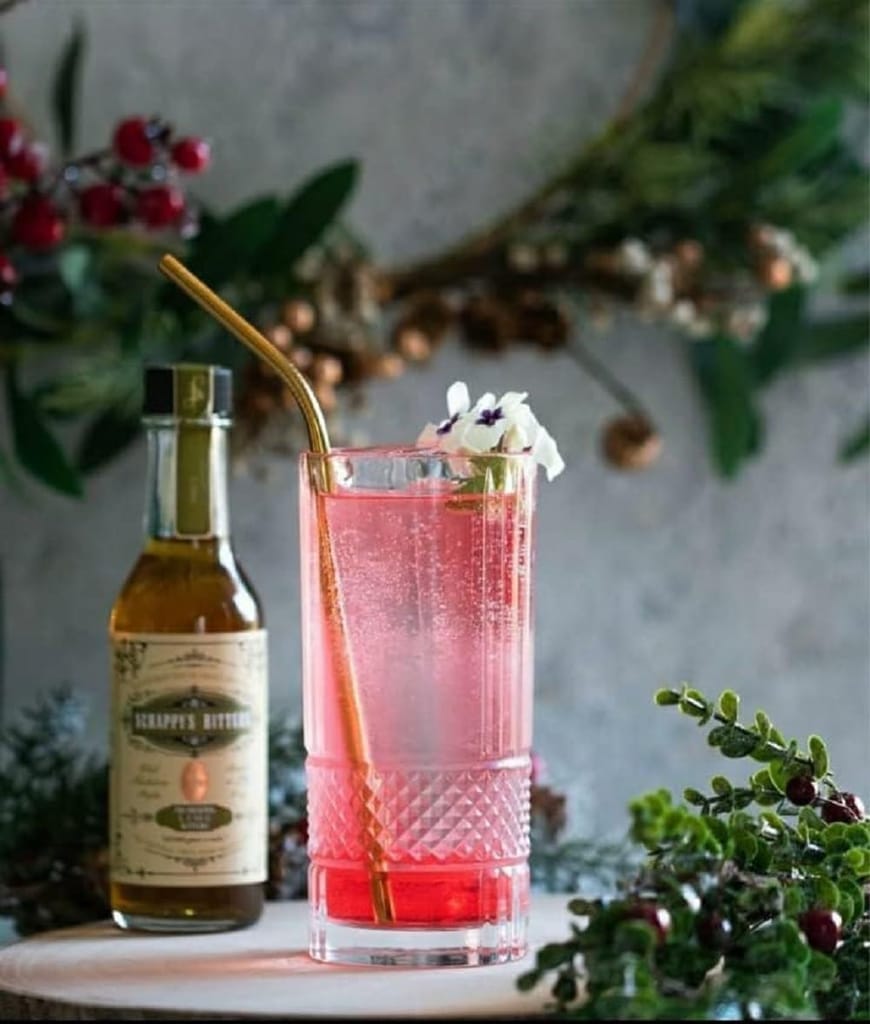 European Premium Crystal Juice and Water Glasses | 280 ML | Long Elegant Drinking Tumbler | Stylish Round Highball Glass for Cocktails, Mocktail (Perfect for Guest) Pack of 6