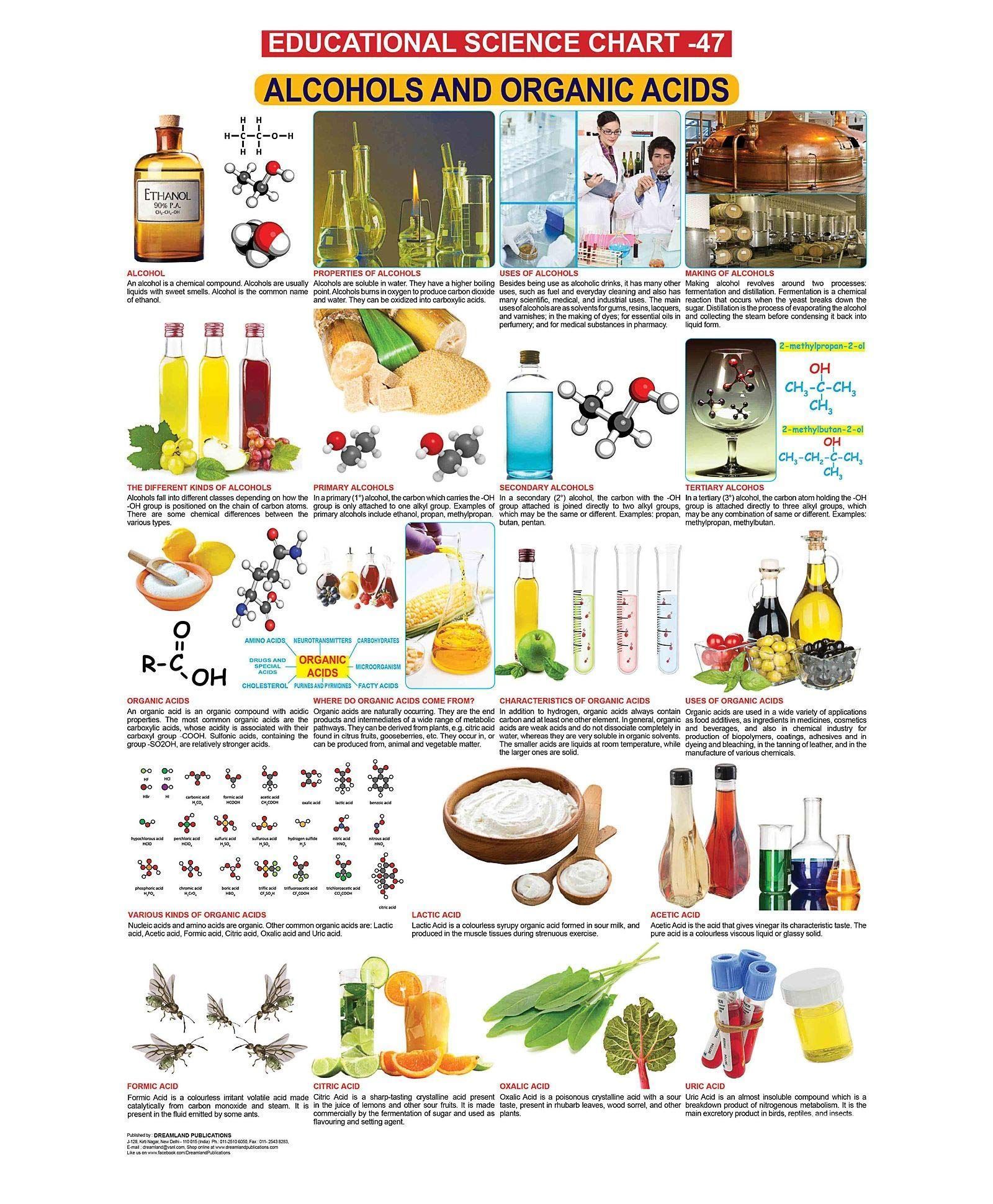 Alcohols & Organic Acids Wall Chart (Science Chart) - Both Side Hard Laminated (Size 48 x 73 cm) [Paperback] Dreamland Publications