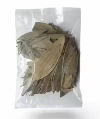 kaasni's Tej Patta Leaves |150 Grams | Bay Leaves | Whole Spices | Tez Patta Aromatic & Flavourful Biryani | Tejpatta Bay Leaves kaasni's Tej Patta Leaves |150 Grams | Bay Leaves | Whole Spices | Tez Patta Aromatic & Flavourful Biryani | Tejpatta Bay Leaves