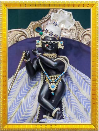 NOKKES Radha Raman Vrindavan Radha Raman Thakur Ji Photo Frames Religious Photo frame 5X7 Inch Photo Frame_QWW22