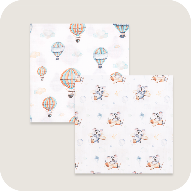 Hot Air Balloon & Flying Koala Combo