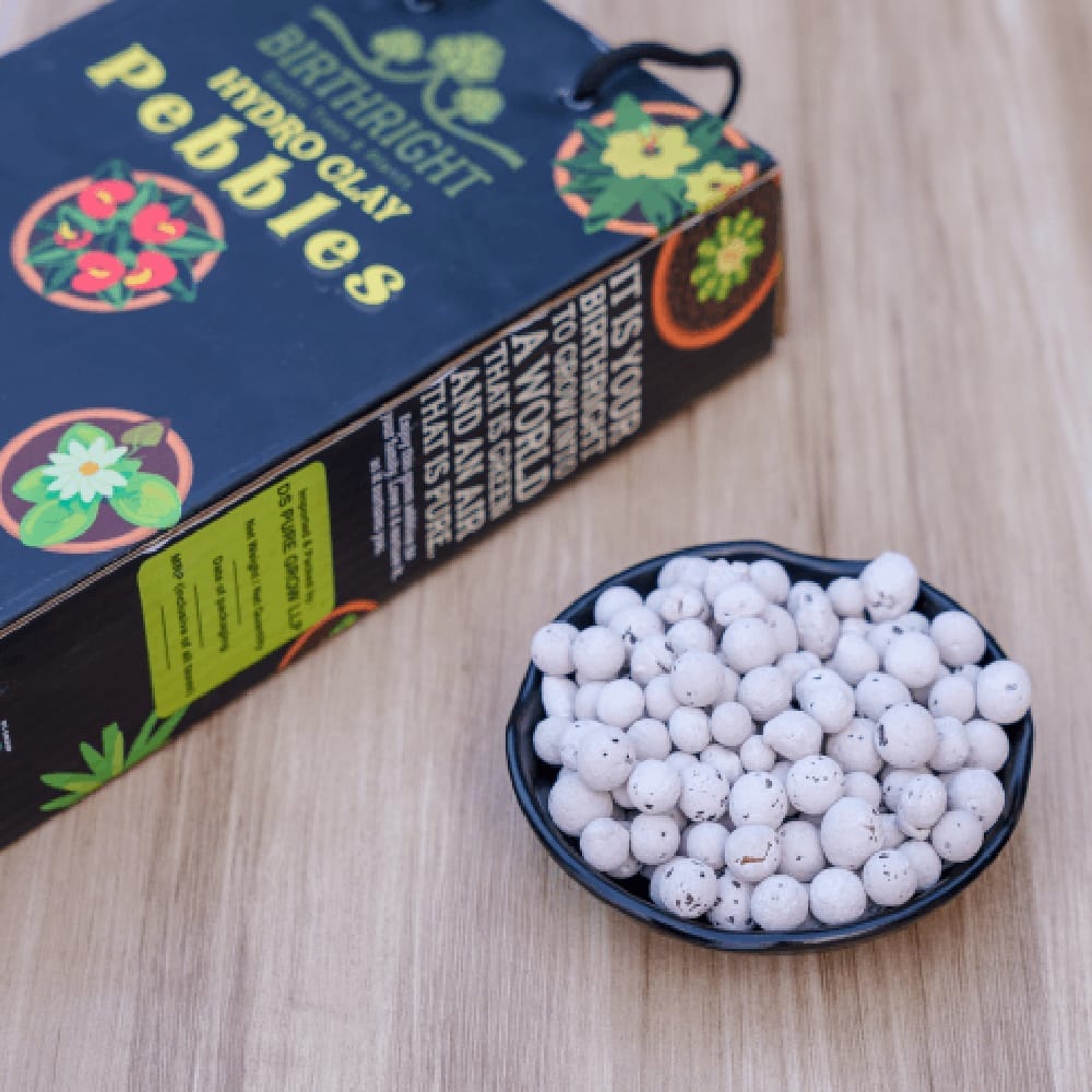 Birthright || Hydro Clay Pebbles || 1Kg Pack