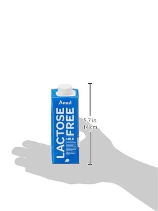 Amul Lactose Free Milk 250 MILLI_LITRE