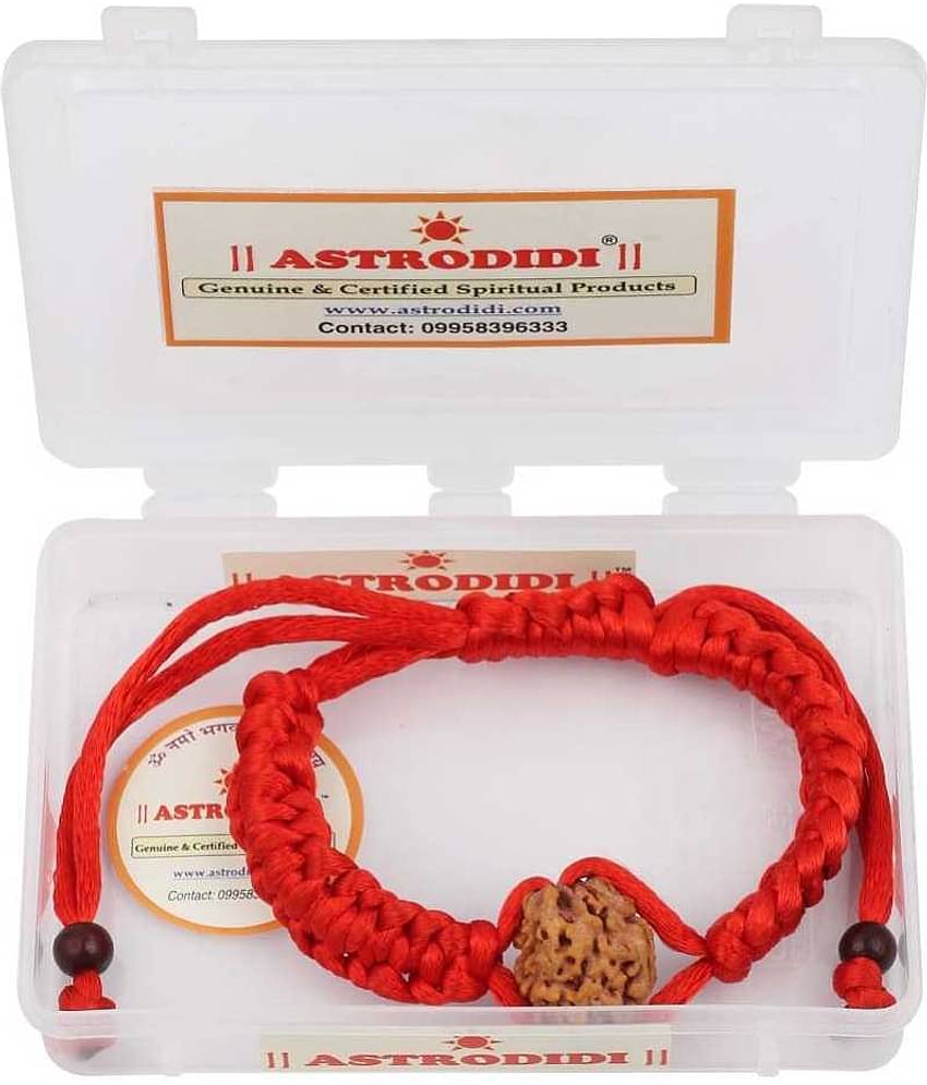 Astrodidi 5 Mukhi Five Face Rudraksha Bracelet