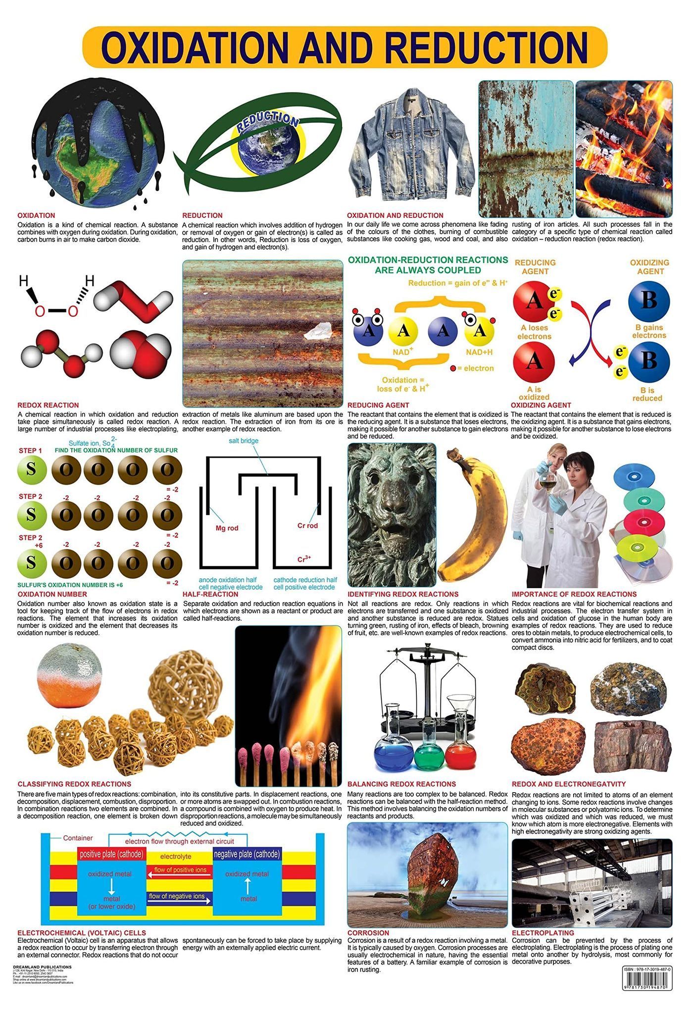 Oxidation & Reduction Wall Chart (Science Chart) - Both Side Hard Laminated (Size 48 x 73 cm) [Poster] Dreamland Publications