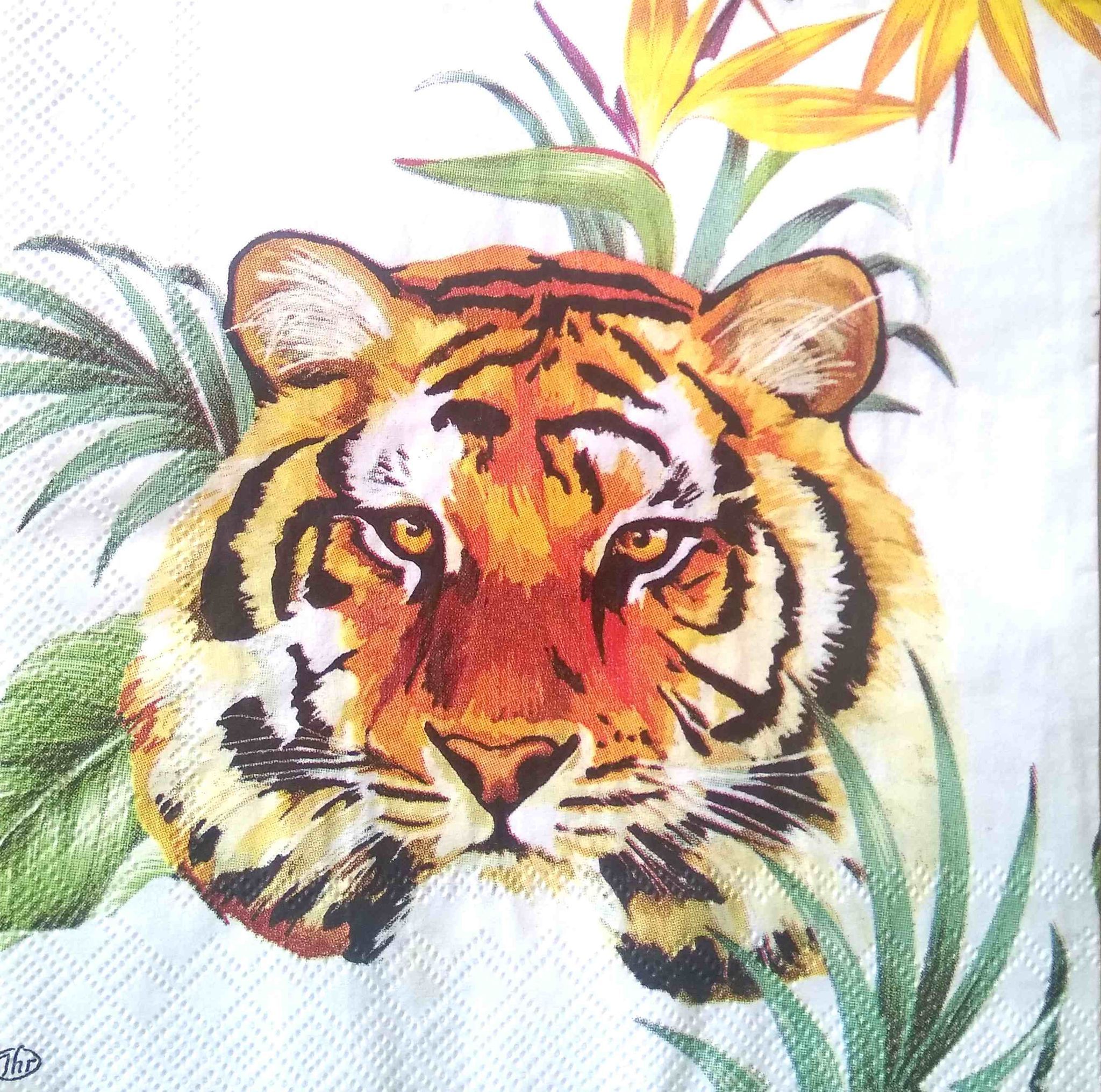Decoupage Napkin / Tissue papers - GT2038 - 25cm*25cm