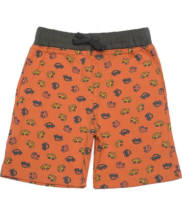 Dollar Champion Kidswear Pack of 1 Cotton Shorts For Boys ( Multicolor )