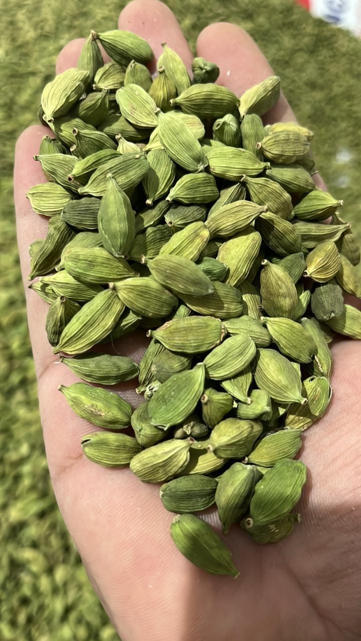 NUTZ PLUZ DELIGHTZ CARDAMOM 1000g