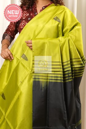 Handwoven Banana Pith Silk Saree With Blouse Piece