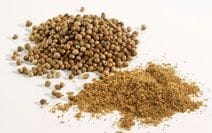 Coriander Powder