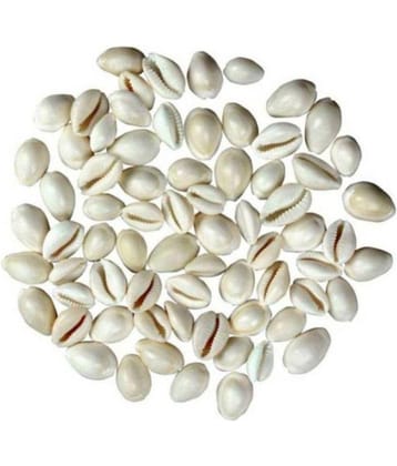 Lucknow poojan store Laxmi white kaudi