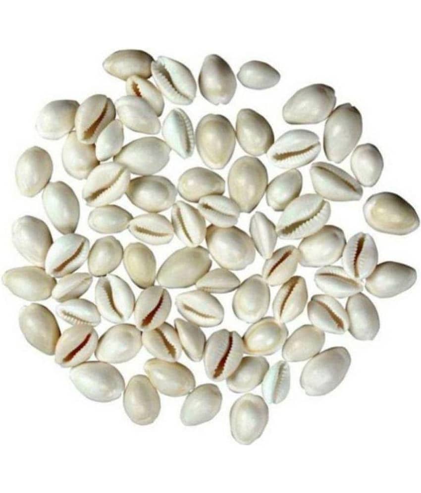 Lucknow poojan store Laxmi white kaudi