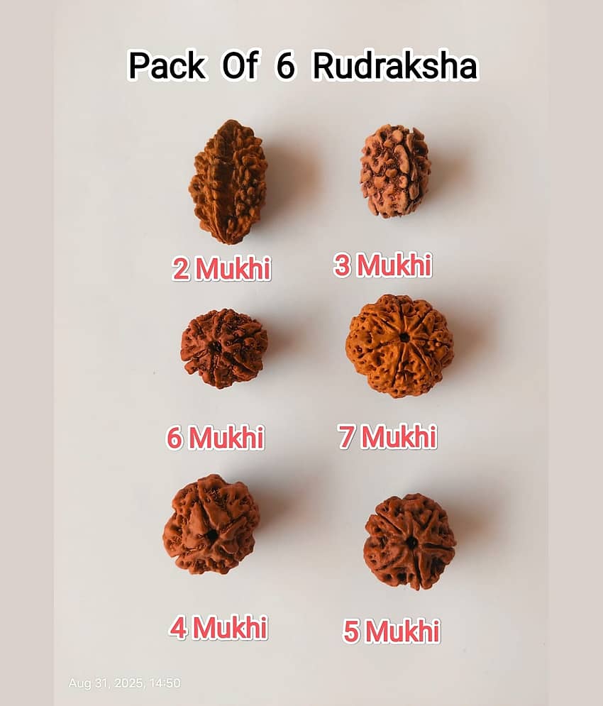 VIDHAN ART Bead ( Pack of 6 )